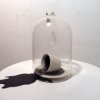 Sus Scrofa Installation (Brussels)