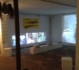 Sus Scrofa Installation (Brussels)