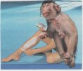 aapleg /2000