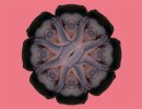 flowerhead