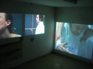 Sus Scrofa Installation (Pitiviers, F)