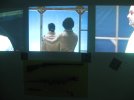 Sus Scrofa Installation (Pitiviers, F)
