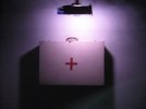 Sus Scrofa Installation (Pitiviers, F)