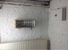 2014 Sus Scrofa _installation