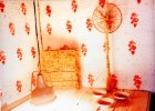 1997 Beauty Free_installation