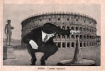 Roma_As big as that