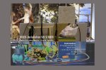 2014 Sus Scrofa _invitation_installation