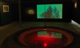 2018 Scénographie de l'exposition 'Forêts Imaginaires' curator (...)
