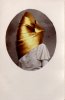 Covered_Goldorak (SOLD)