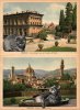 Firenze cats